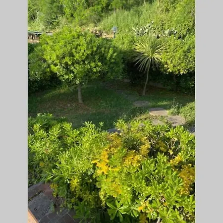 Dom wakacyjny Con Giardino Calabria - Estate 2021 Diamante